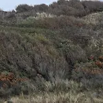 Vue Plage, Location Cote D'opale - Au Fil Des Marees *