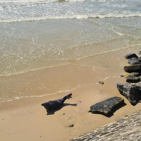 Vue Plage, Location Cote D'opale - Au Fil Des Marees Apartment *