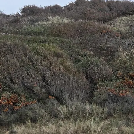 Vue Plage, Location Cote D'opale - Au Fil Des Marees *